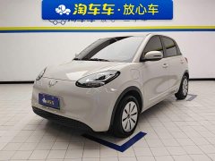 Wuling Binguo 203km Light Enjoy Edition - ფოტო 1
