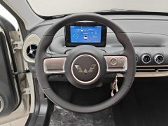 Wuling Binguo 203km Light Enjoy Edition - ფოტო 15