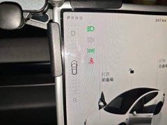 Tesla Model 3 Long Range Rear-Wheel Drive - ფოტო 15