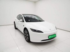 Tesla Model 3 Long Range Rear-Wheel Drive - ფოტო 3