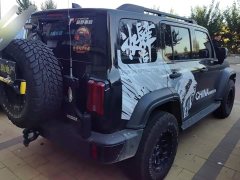 Tank 300 2.0T Gasoline Conqueror - ფოტო 3