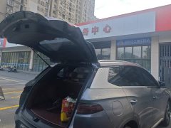 BYD Song Pro New Energy DM-i 71KM Glory Edition Pilot - ფოტო 4