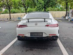 Mercedes-Benz AMG GT AMG GT 50 Four-Door Coupe China Special Edition - ფოტო 17
