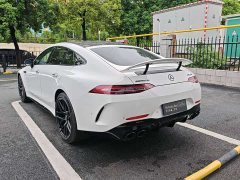 Mercedes-Benz AMG GT AMG GT 50 Four-Door Coupe China Special Edition - ფოტო 18