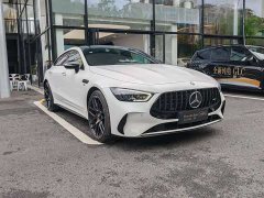 Mercedes-Benz AMG GT AMG GT 50 Four-Door Coupe China Special Edition - ფოტო 3
