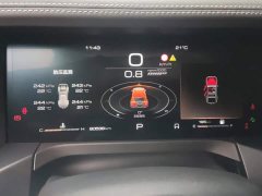 Tank 300 2021 City Edition 2.0T Stylish - ფოტო 14