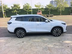 Chery Fengyun T8 1.5T 130km Luxury 5-Seater - ფოტო 9