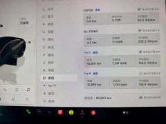 Tesla Model 3 2022 Rear-Wheel Drive - ფოტო 16