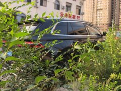 Geely Xingyue L 2.0TD High-Power Automatic FWD Horizon Edition - ფოტო 3