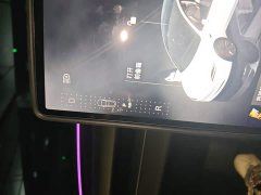 Tesla Model 3 2023 Rear-Wheel Drive - ფოტო 10