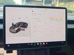 Tesla Model 3 Rear-Wheel Drive - ფოტო 14
