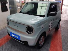 Geely Panda Mini 200km Endurance Edition - ფოტო 1