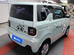 Geely Panda Mini 200km Endurance Edition - ფოტო 3