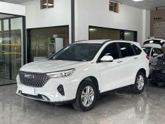 Haval M6 PLUS 1.5T DCT Elite Smart Connected Edition - ფოტო 1