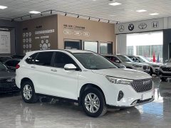 Haval M6 PLUS 1.5T DCT Elite Smart Connected Edition - ფოტო 3