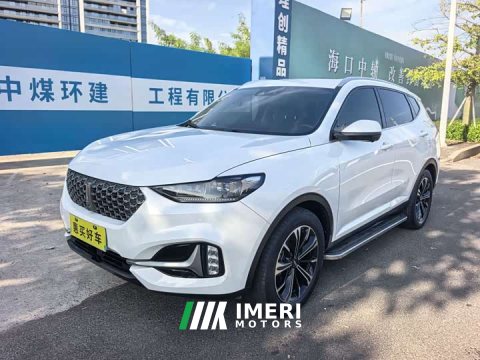 2021 Great Wall WEY VV6 2.0T Two-Wheel Drive Smart Edition Plus - ავტომობილი ჩინეთიდან