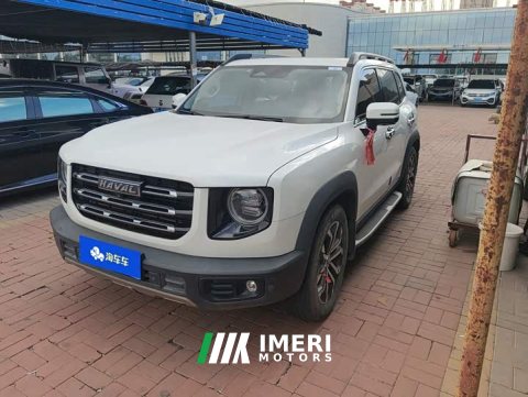 2021 Great Wall Dachshund 1.5T DCT Two-Wheel Drive Border Collie Edition - ავტომობილი ჩინეთიდან
