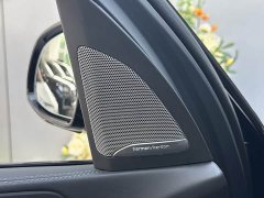 BMW X5 2023 xDrive 40Li M Sport Midnight Edition - ფოტო 10