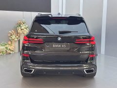 BMW X5 2023 xDrive 40Li M Sport Midnight Edition - ფოტო 20