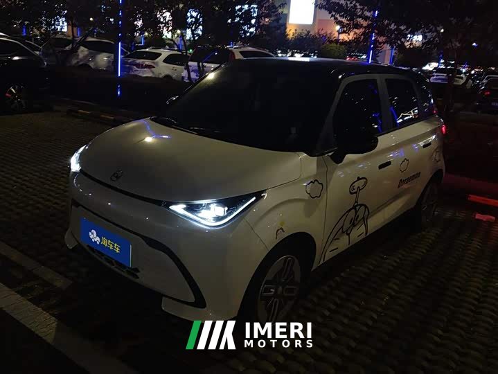 BYD Domi 305km Comfort Edition - ავტომობილი ჩინეთიდან