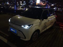 BYD Domi 305km Comfort Edition - ფოტო 1