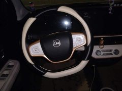 BYD Domi 305km Comfort Edition - ფოტო 10