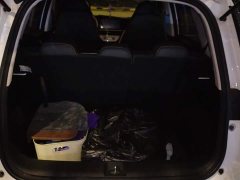 BYD Domi 305km Comfort Edition - ფოტო 3