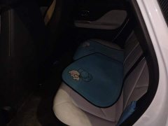 BYD Domi 305km Comfort Edition - ფოტო 7