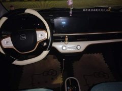BYD Domi 305km Comfort Edition - ფოტო 8