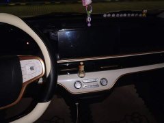 BYD Domi 305km Comfort Edition - ფოტო 9