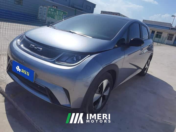 BYD Dolphin 420km Fashion Edition - ავტომობილი ჩინეთიდან