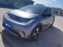 BYD Dolphin 420km Fashion Edition - ფოტო 1