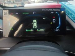 BYD Destroyer 05 Glory Edition DM-i 55KM Luxury - ფოტო 14