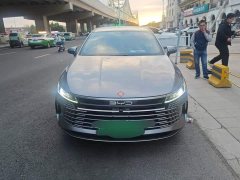 BYD Destroyer 05 Glory Edition DM-i 55KM Luxury - ფოტო 2