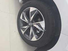 GAC Aion M6 PRO 270T DCT Luxury - ფოტო 6