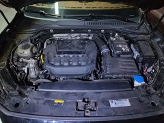 Volkswagen Passat 380TSI Starry Sky Luxury Edition - ფოტო 10