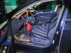 Volkswagen Passat 380TSI Starry Sky Luxury Edition - ფოტო 9