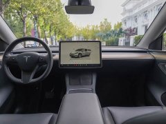 Tesla Model Y Rear-Wheel Drive - ფოტო 10