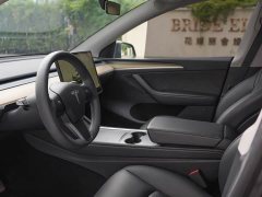 Tesla Model Y Rear-Wheel Drive - ფოტო 14
