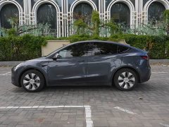 Tesla Model Y Rear-Wheel Drive - ფოტო 8
