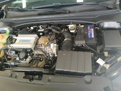 Trumpchi Leopard 2021 270T DCT J16 - ფოტო 10