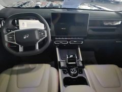 Jetour Jietu Shanhai T1 150km Xianghai - ფოტო 12