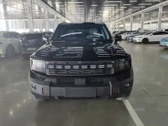 Jetour Jietu Shanhai T1 150km Xianghai - ფოტო 2