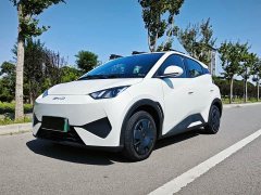 BYD Seagull Smart Drive 305km Vitality Edition - ფოტო 1
