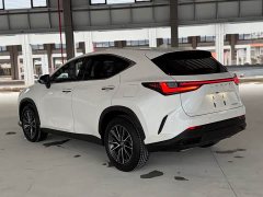 Lexus NX New Energy 2022 400h Comfort Edition - ფოტო 12