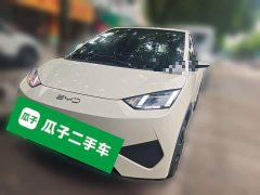 BYD Seagull Smart Drive 305km Vitality Edition - ფოტო 1