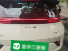 BYD Seagull Smart Drive 305km Vitality Edition - ფოტო 3