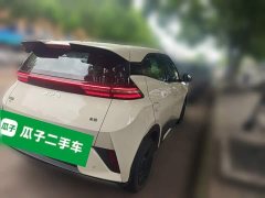 BYD Seagull Smart Drive 305km Vitality Edition - ფოტო 4