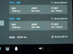 Tesla Model 3 2023 Rear-Wheel Drive - ფოტო 13