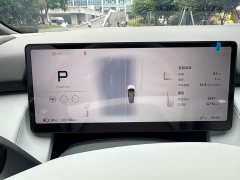 Xpeng P7 Long Range Max - ფოტო 18
